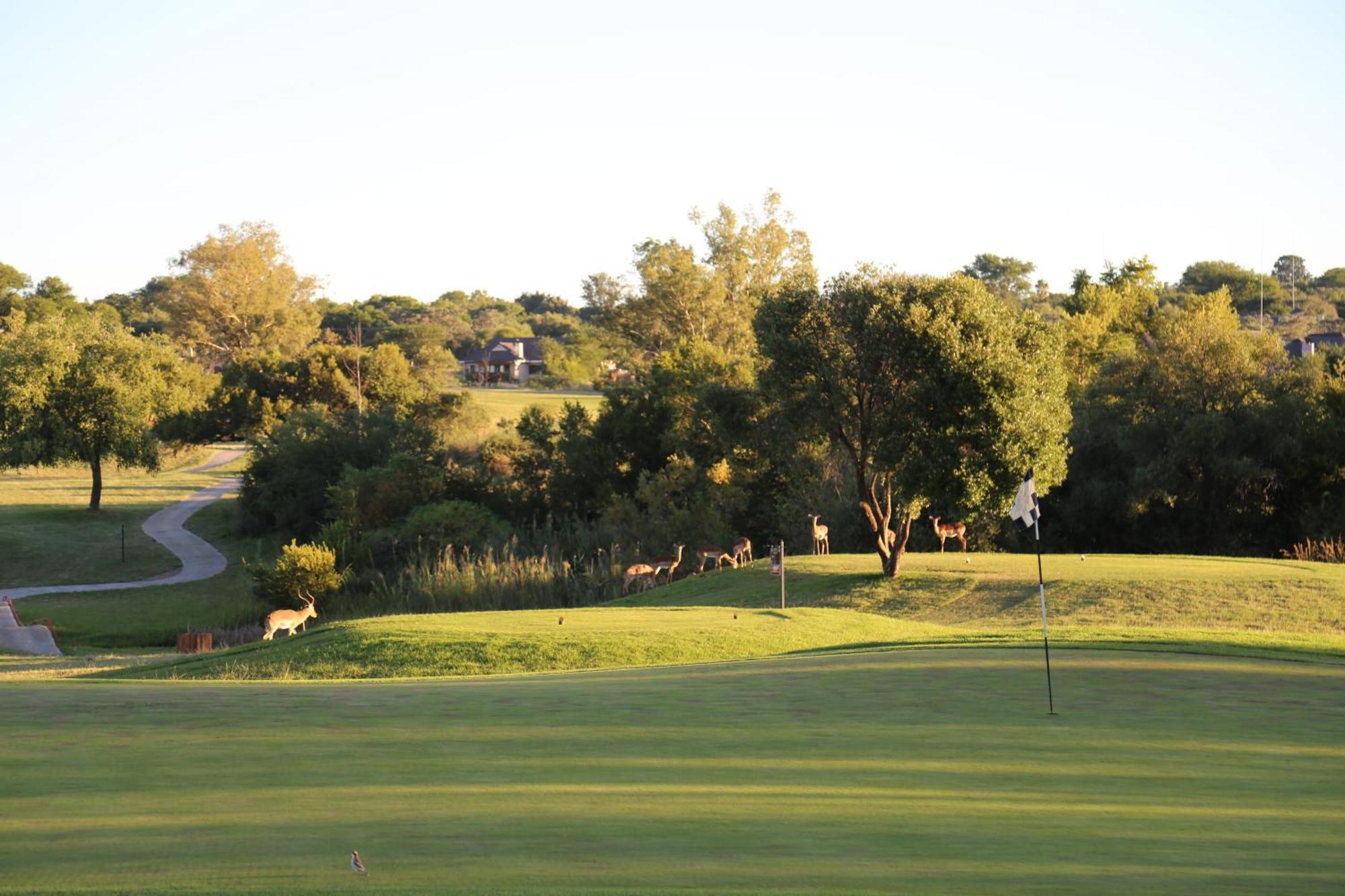 Fairview Manor Hotel Modimolle Bagian luar foto